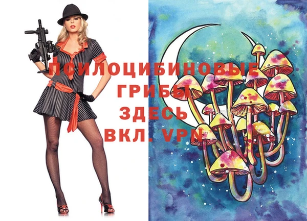 jwh Снежинск