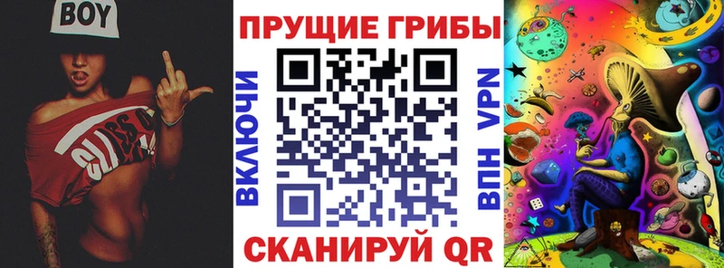 Псилоцибиновые грибы прущие грибы  Купить где  Осташков 